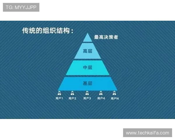 凯发网站登录界面优化升级，提升用户操作便捷性和登录效率的最新动态